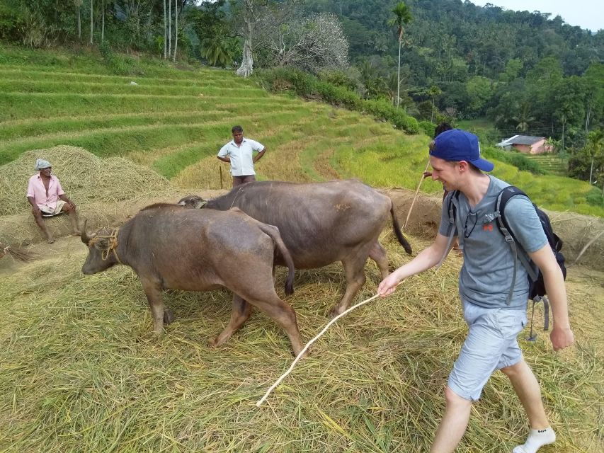 Knuckles Spice Trail Trek from Kandy - Lunch with locals: what you’re really paying for
