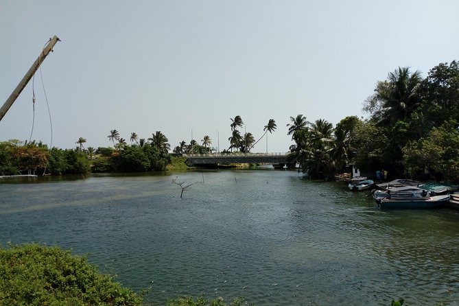 Koggala Lake Boat Tour - Key points to know before you go