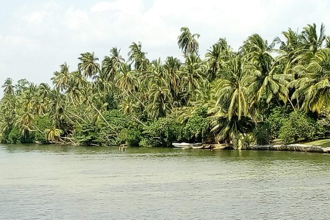 Koggala Lake Boat Tour - On the water for 2 hours: islands, cinnamon, and a temple visit