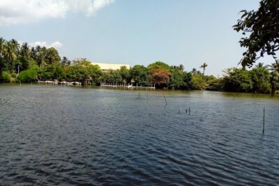 Koggala Lake Boat Tour - Price and value: what $75 is buying you