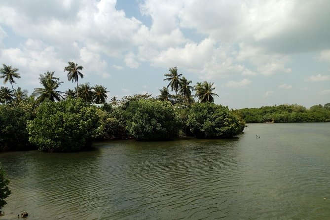 Koggala Lake Boat Tour - Who this tour fits best (and who should skip it)
