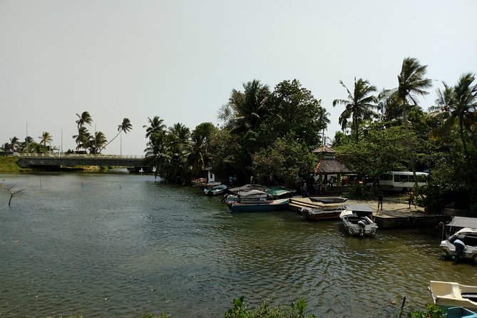 Koggala Lake Boat Tour - Practical tips to get the most from your ride