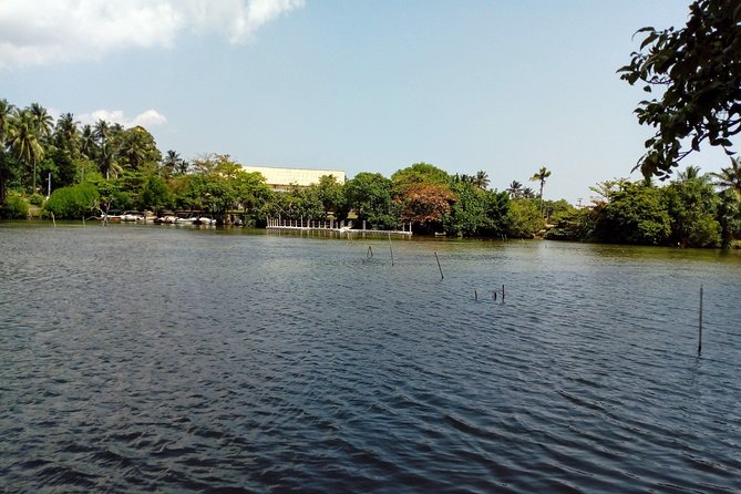 Koggala Lake Boat Tour - Price and value: what $75 is buying you