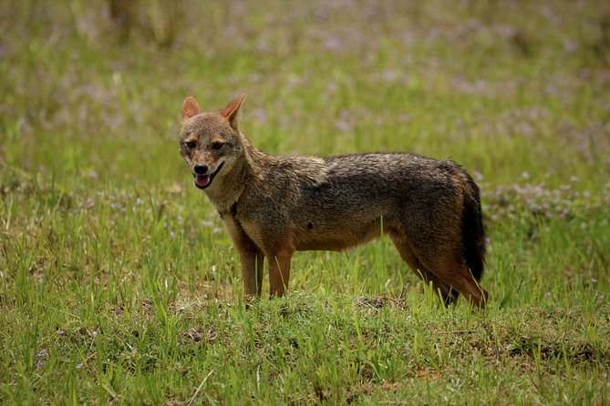 Kumana National park Full day safari - Inside the day: what happens once you reach Kumana