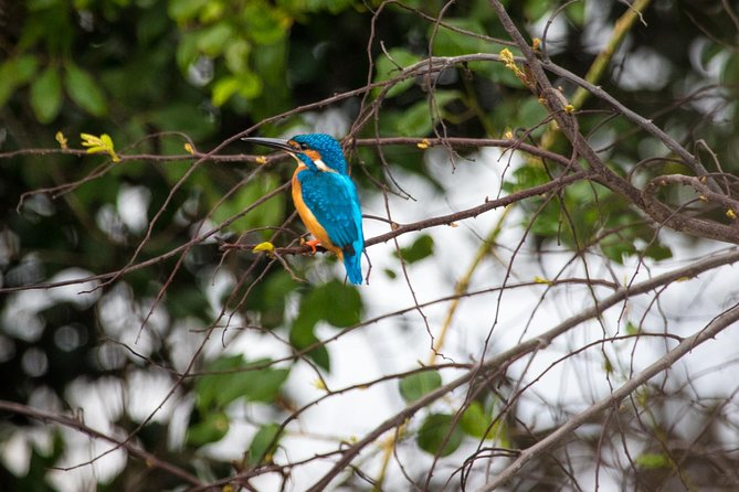 Kumana National park Full day safari - Guides like Sandu and Ravi: why the human part matters