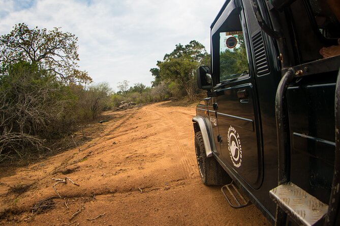 Kumana National Park Half Day Jeep Safari - The best timing: morning sun vs afternoon heat from Arugam Bay