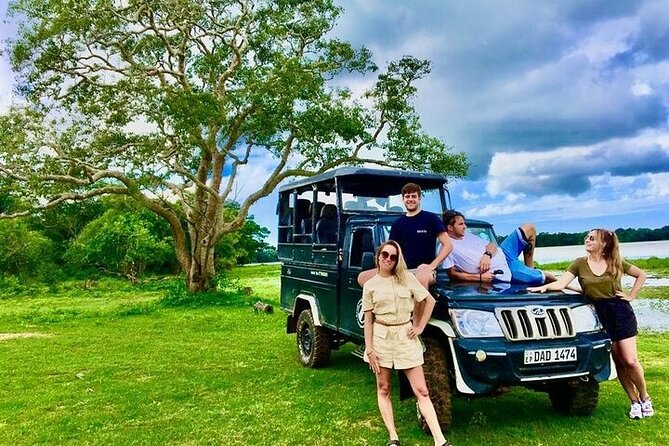 Kumana National Park Half Day Jeep Safari - Birdwatching in May and June: the 200-hectare focus area