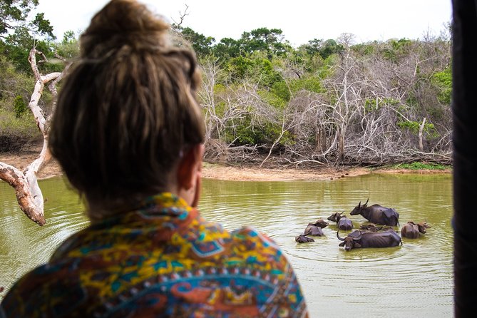 Kumana National Park Half Day Jeep Safari - Wildlife beyond birds: reptiles, turtles, and more