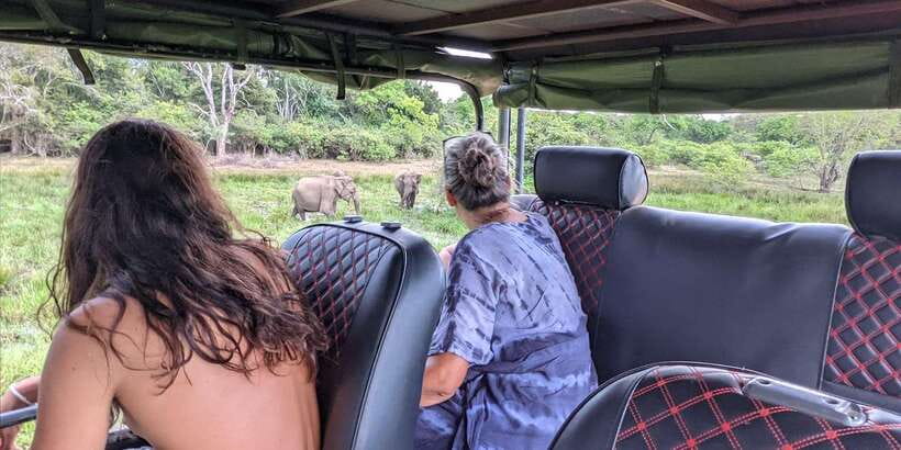 Kumana National Park : Morning or Afternoon Safari (6 h) - Kumbukkan Oya: A Scenic River Stop That Lets Wildlife Make Sense