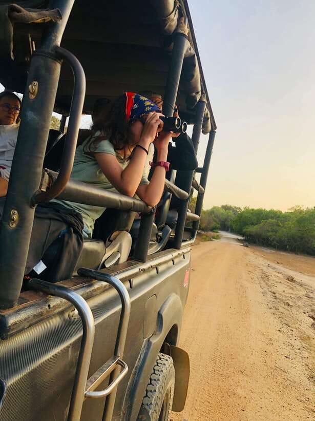 Kumana National Park : Private Half-Day Jeep Safari - Private Vehicle vs. Real-World Privacy: What You Should Clarify