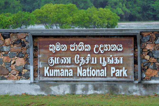 Kumana National Park Safari | from Arugam Bay - The bird game plan: migratory birds plus year-round natives