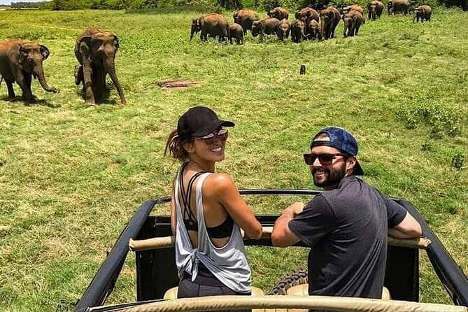 La Ceylon Popular Round Tour in Sri Lanka (8 Day) - Minneriya National Park: wildlife time that’s actually scheduled
