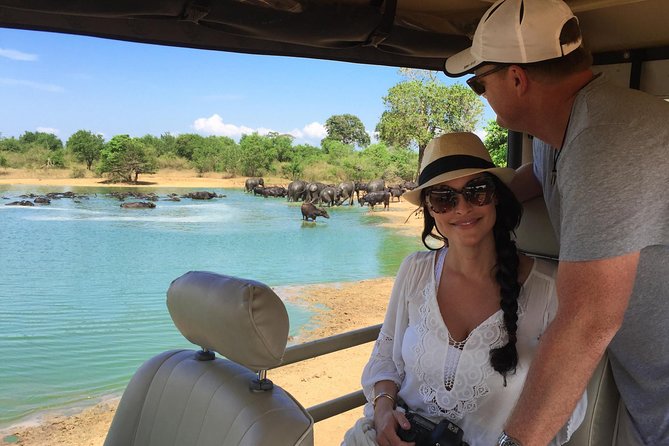Leopard Safari Tour in Yala National Park - Key things to know before you go