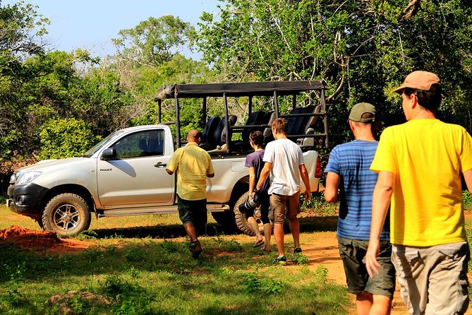 Leopard Safari Tour in Yala National Park - Picking your timing: 4 to 14 hours, and why length can change the experience