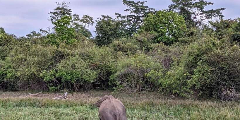 Lunugamvehera National Park Safari ( Yala Block V / VI ) - Getting there from Kotapola area: pickup towns and a 4x4 jeep ride