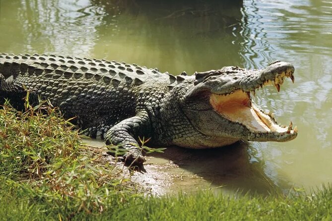 Lunugamwehera (Weheragala Entrance) National Park - Ajith Safari - Key highlights worth your attention