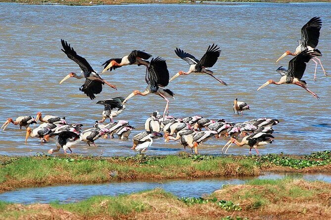 Luxury safari to minneriya national park - How the private jeep safari starts in Sigiriya