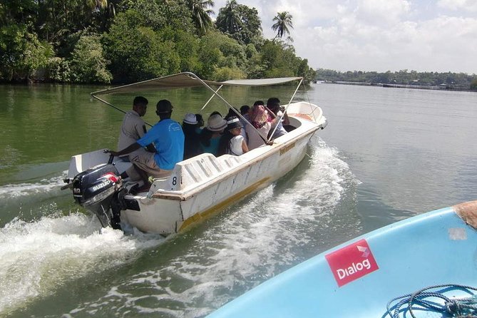 Madu River Boat Safari Balapitiya - Key highlights you’ll care about