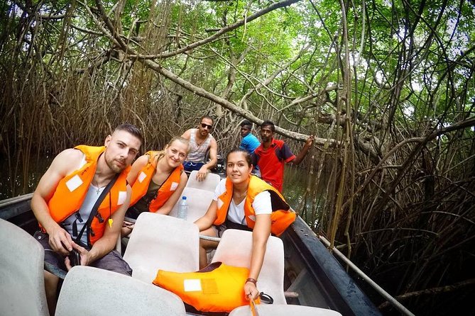 Madu River Boat Safari Balapitiya - Madu River by Motorboat: What You’re Actually Signing Up For