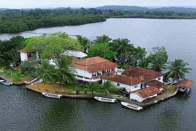 Madu River Boat Safari Balapitiya - Fish Foot Massage at the fish pedicure pond: fun, weird, and simple
