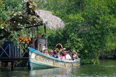Madu River Boat Safari Balapitiya - Island Temple: a quiet religious stop that breaks up the cruise
