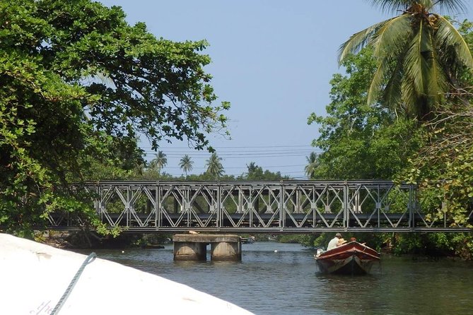 Madu River Boat Safari Balapitiya - Cinnamon island: how a local ingredient shows up in real life