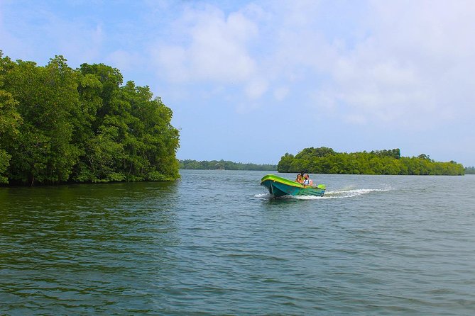 Madu River Boat Safari Balapitiya - Price and value: $29 that stays realistic