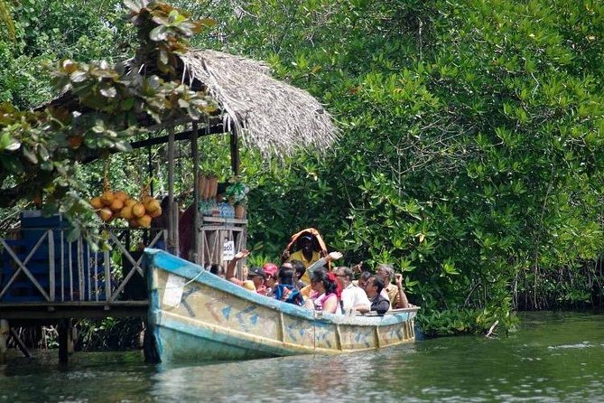 Madu River Boat Safari Balapitiya - Island Temple: a quiet religious stop that breaks up the cruise