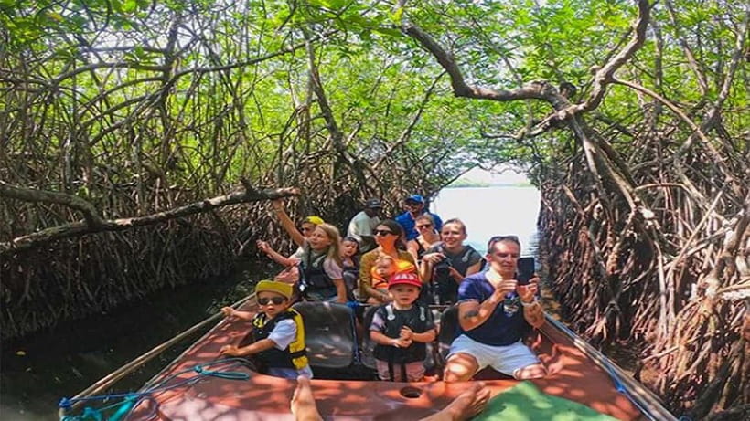 Madu River Boat Tour and Cinnamon Garden visit - Key Points at a Glance