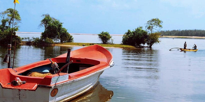 Madu River Boat Tour and Cinnamon Garden visit - Madu River Mangroves: Why This Boat Ride Feels Different