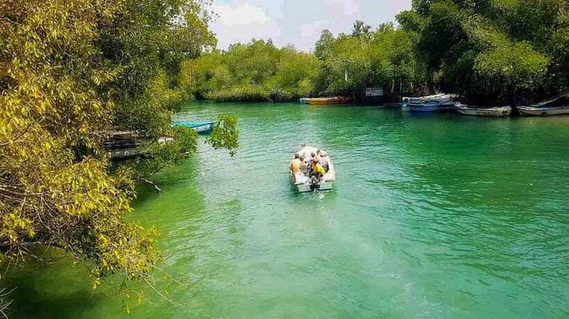 Madu River Boat Tour and Cinnamon Garden visit - An Ancient Buddhist Temple on an Island: Quick but Meaningful