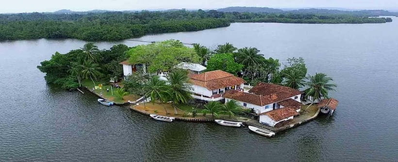 Madu River Boat Tour and Cinnamon Garden visit - Timing, Group Pace, and the Pickup Reality
