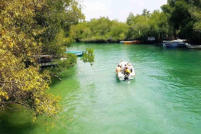 Madu River Safari at Balapitiya - Price and value: what $23.40 buys you