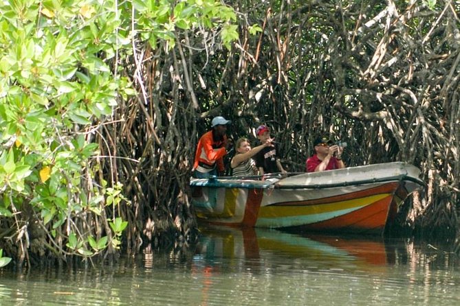 Madu River Safari at Balapitiya - The boat ride through mangroves: what makes it worth it