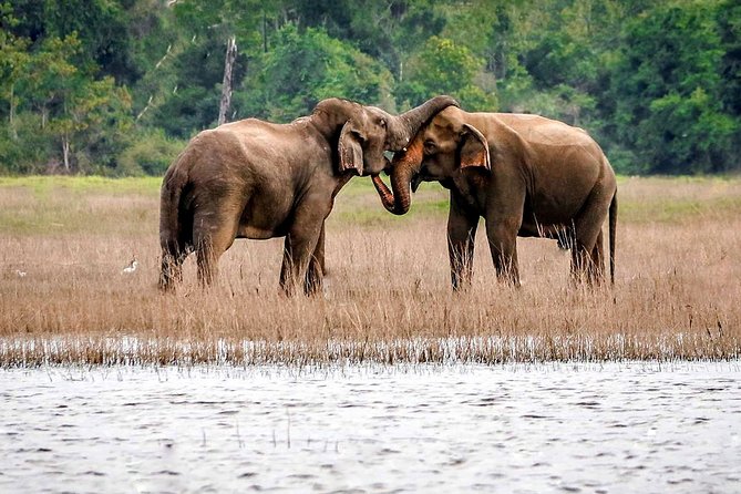 Maduru Oya National Park Private Safari with Naturalist - Where Maduru Oya fits into Sri Lanka: Batticaloa base, long wildlife day