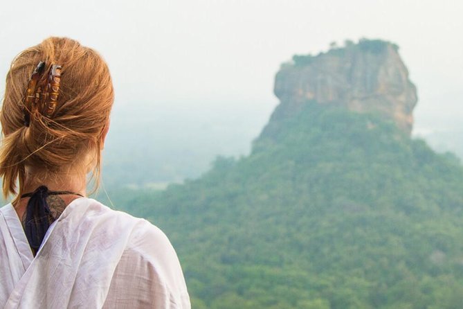 Minneriya Elephant Safari wth Sigiriya & Dambulla Cave Temples Full Day Tour - Price and value: $150 per person, plus what to budget