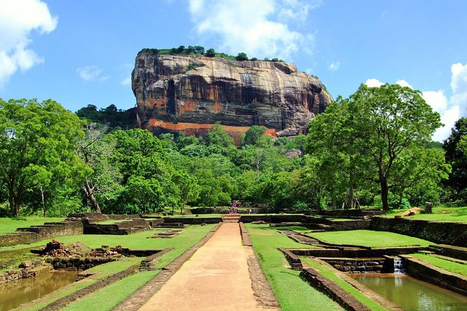 Minneriya Elephant Safari wth Sigiriya Lion Rock from Colombo - Minneriya National Park 4x4 safari: elephants are the headline