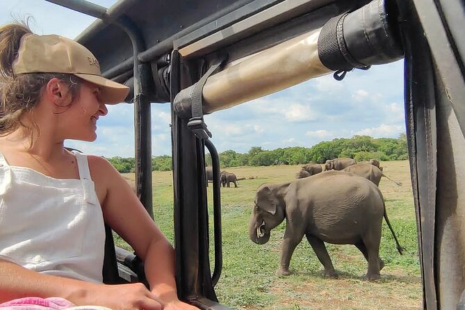 Minneriya National Park Elephant Jeep Safari Private Tour - Key Things I’d Watch For on This Jeep Safari