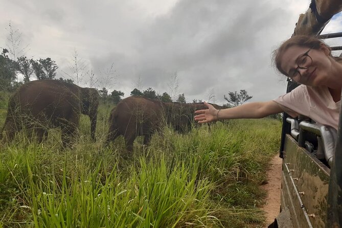 Minneriya National Park Elephant Jeep Safari Private Tour - The Park Choice Game: Minneriya vs Hurulu Eco Park vs Kaudulla