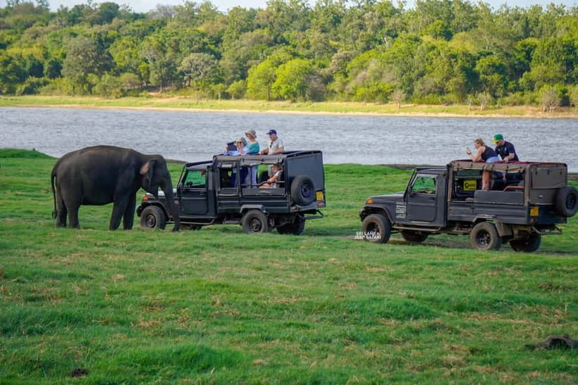 Minneriya: National Park Elephant Safari with Hotel Pickup - Photography tips that actually help in Minneriya