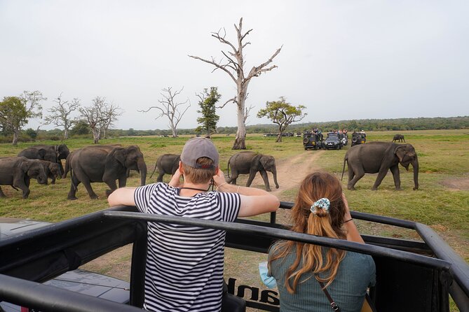 Minneriya National Park Half Day Elephant Safari - What 3 to 4 hours really means on a Minneriya half-day