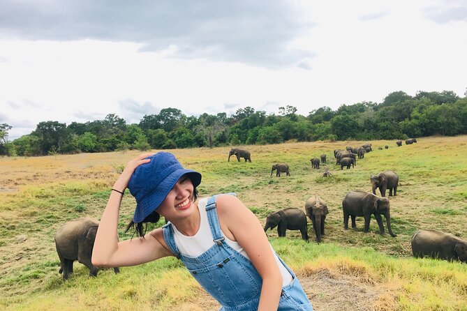 Minneriya National Park halfday Safari - Entering Minneriya: the elephant gathering and what to watch for