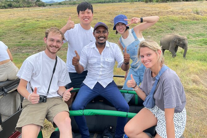 Minneriya National Park halfday Safari - Pickup from Habarana or Minneriya: convenience that actually matters