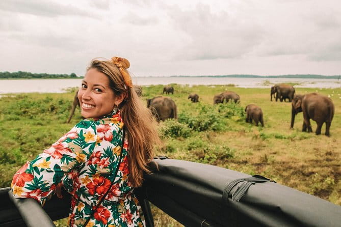 Minneriya National Park | Private Safari - Entrance fees and what you need to bring (especially cash)