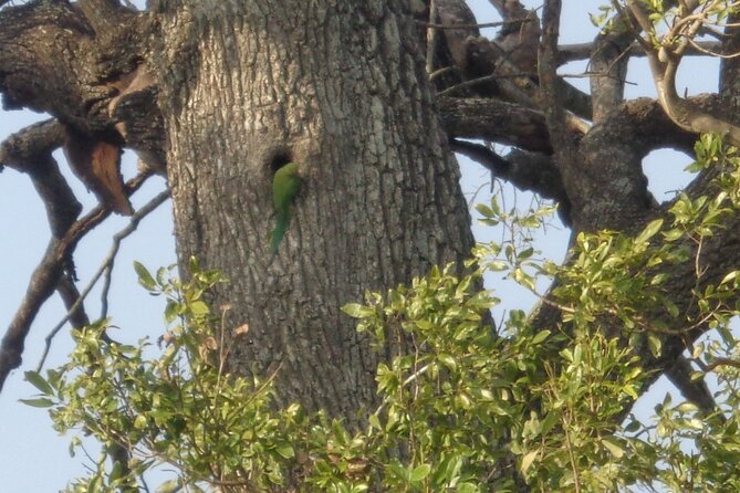 Minneriya National Park Private Safari from Habarana - Timing: fitting Minneriya into a short Habarana stay