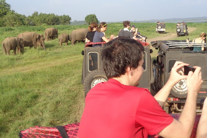Minneriya National Park Private Safari from Habarana - Who this safari suits best (and who should skip it)