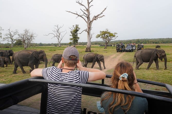 Minneriya National Park Private Safari Tour - Stop 1: Minneriya National Park Landscapes You’ll Drive Through