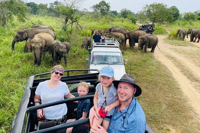 Minneriya National Park Safari - Private Jeep with Hotel Pickup - Key Points That Matter Before You Go