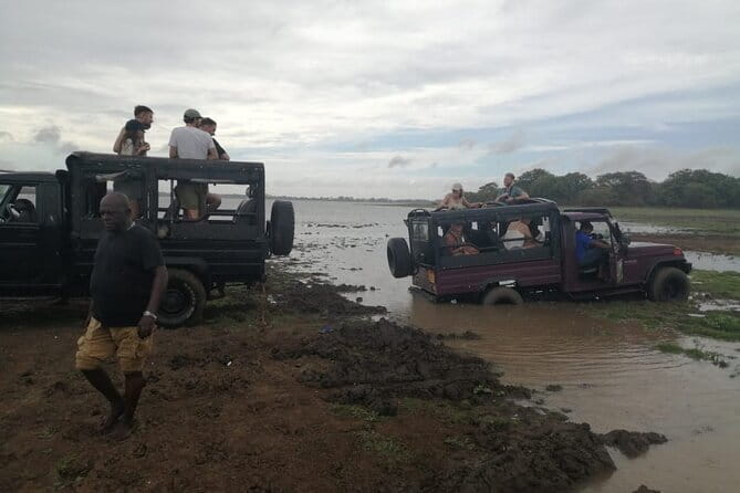 Minneriya National Park Safari - Private Jeep with Hotel Pickup - On Safari at Minneriya: What You’ll See From the Jeep