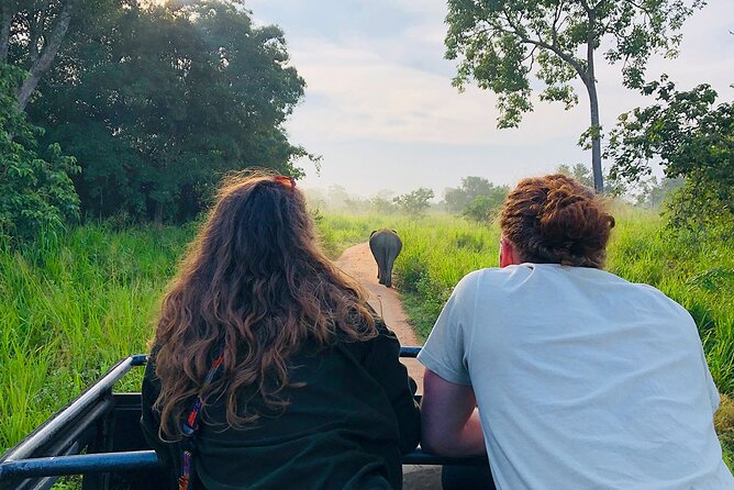 Minneriya National park Safari Sri Lanka - What a Park Guide Actually Does for You